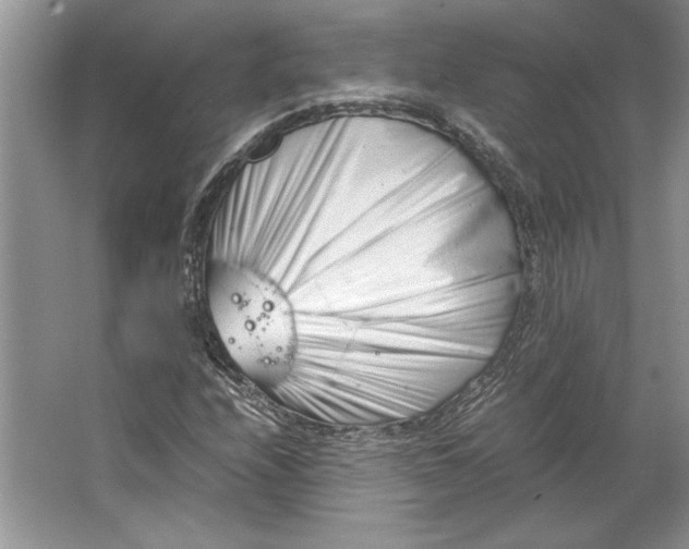 X0000064751208200603031724