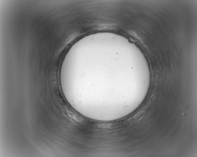 X0000064751211200603031725