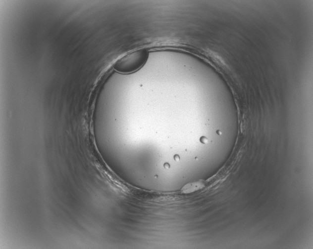 X0000064751212200603031725