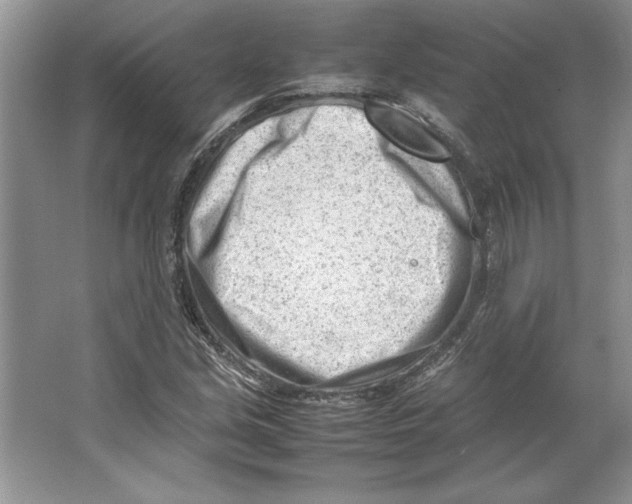 X0000064751213200603031725