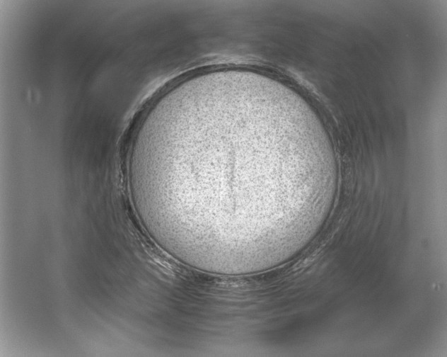 X0000064751215200603031725