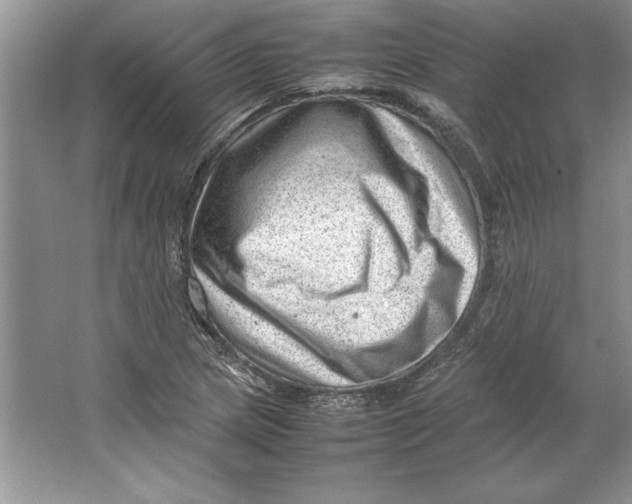 X0000064751217200603031725