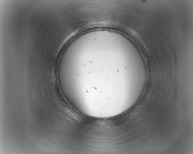 X0000064751218200603031725