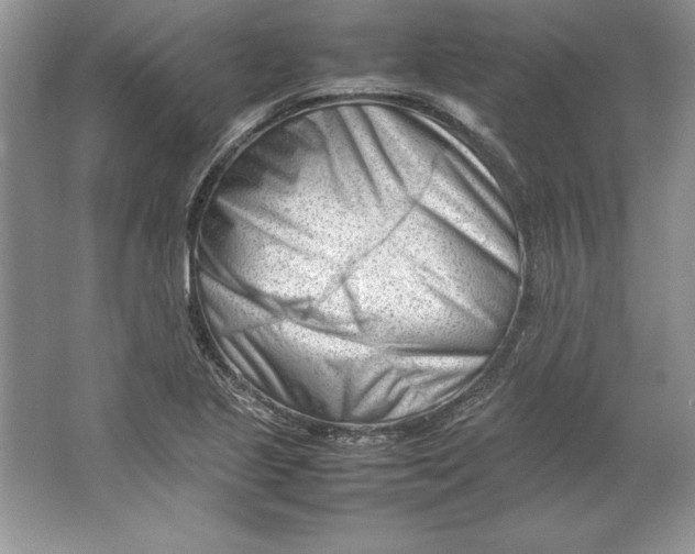 X0000064751221200603031725