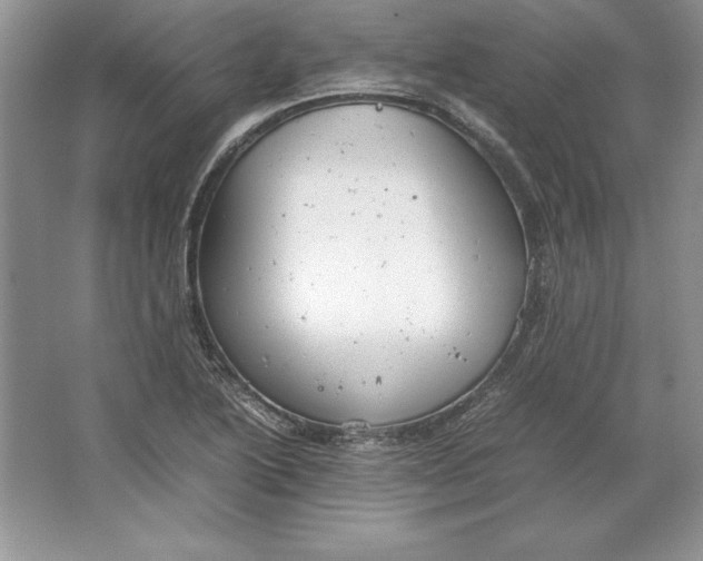 X0000064751222200603031725