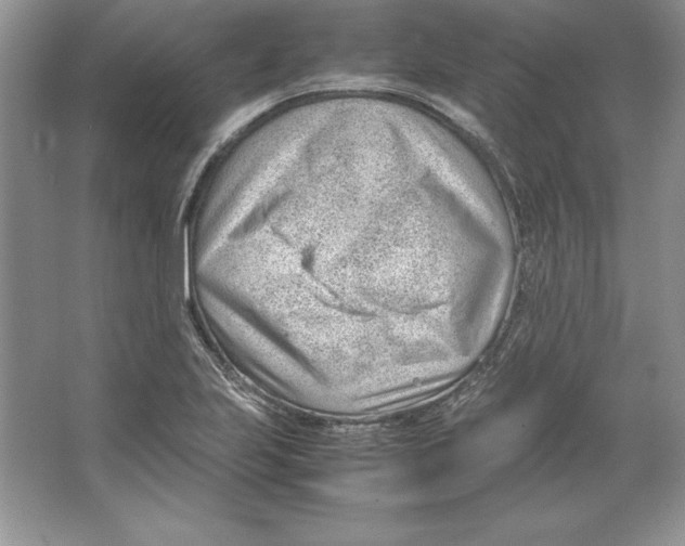 X0000064751223200603031725