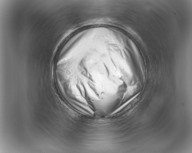 X0000064751224200603031725