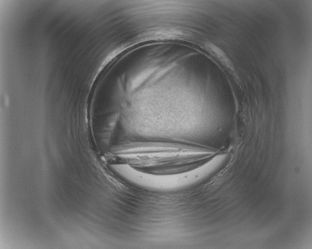 X0000064751226200603031725