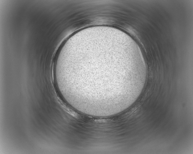 X0000064751227200603031725