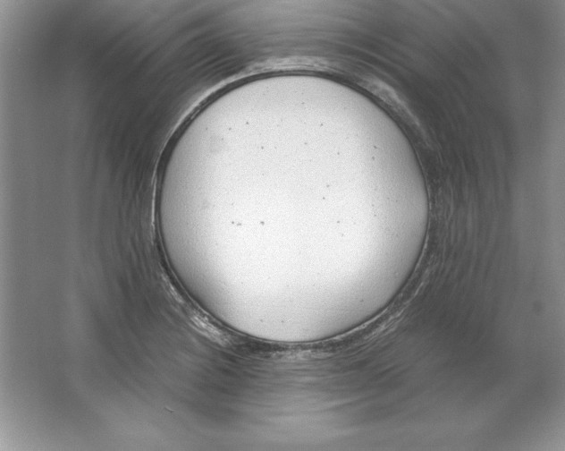 X0000064751228200603031725