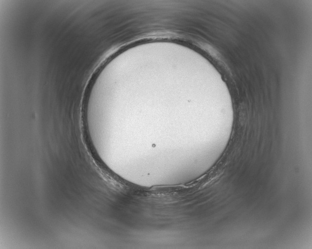 X0000064751229200603031725