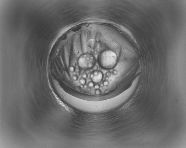 X0000064751231200603031725