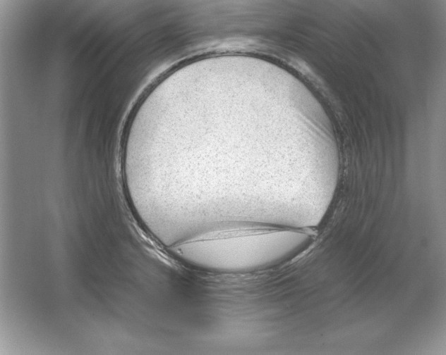 X0000064751232200603031725