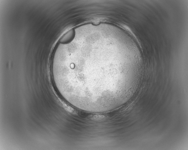 X0000064751235200603031725