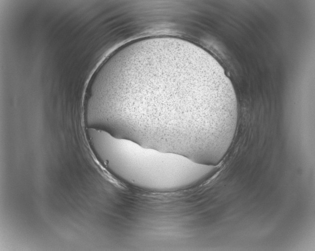 X0000064751236200603031725