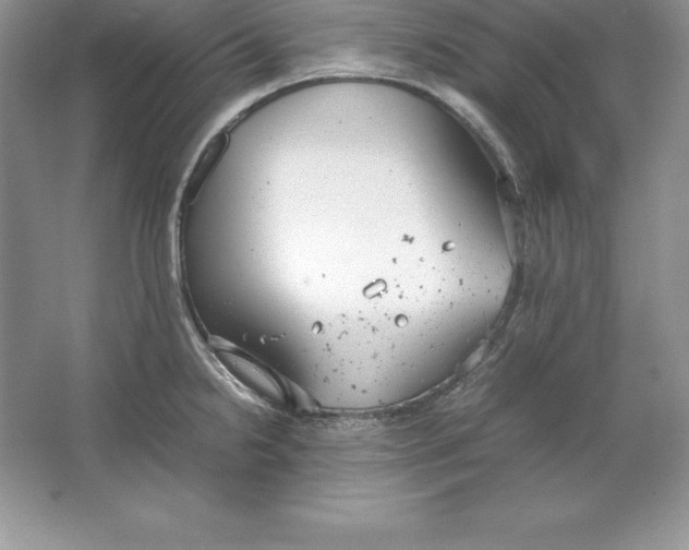 X0000064751238200603031725