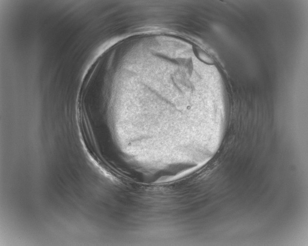 X0000064751239200603031725