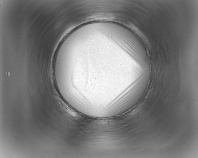 X0000064751240200603031725