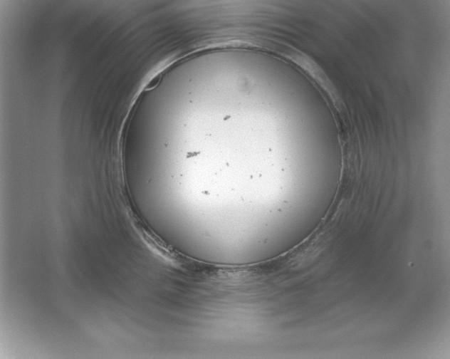 X0000064751242200603031725