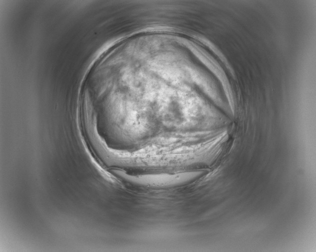 X0000064751245200603031725