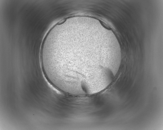 X0000064751247200603031725