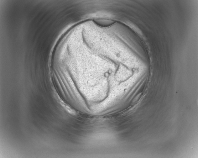 X0000064751248200603031725