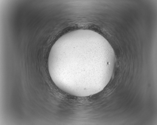 X0000064751249200603031724