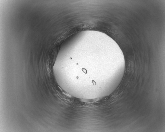 X0000064751250200603031724