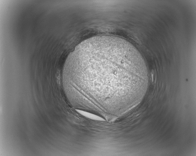 X0000064751251200603031724