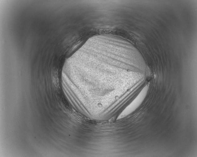 X0000064751252200603031724