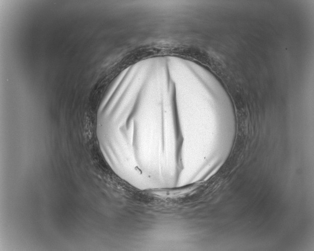 X0000064751253200603031724