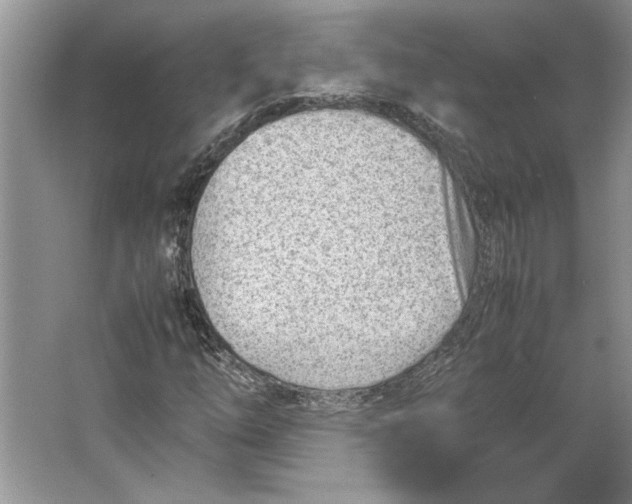 X0000064751254200603031724