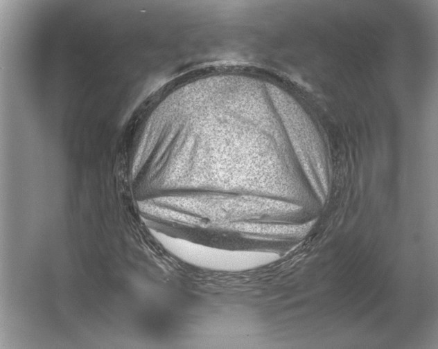 X0000064751255200603031724