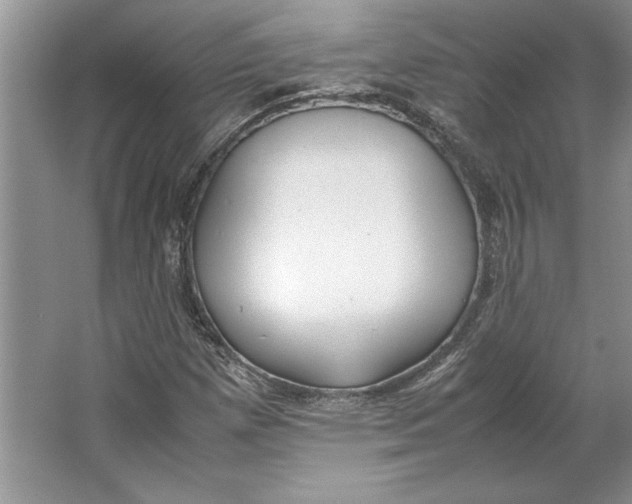 X0000064751257200603031724