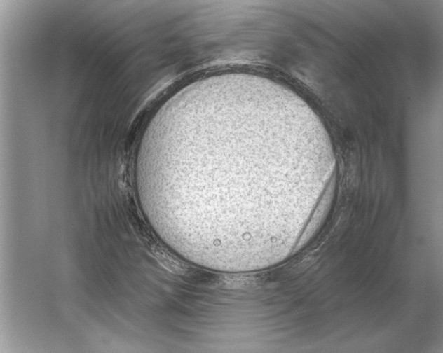 X0000064751258200603031724