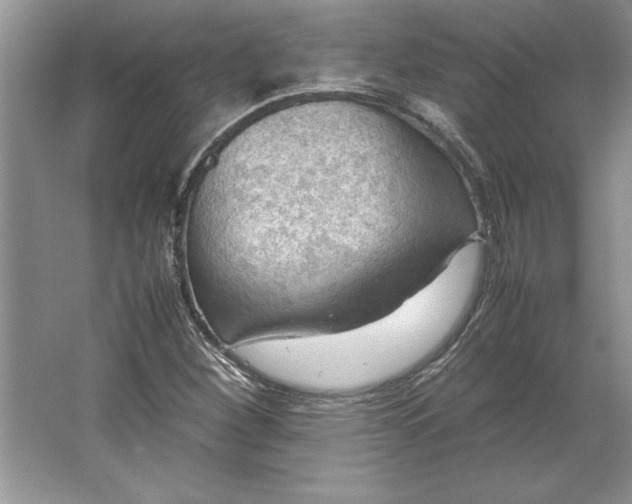 X0000064751260200603031724