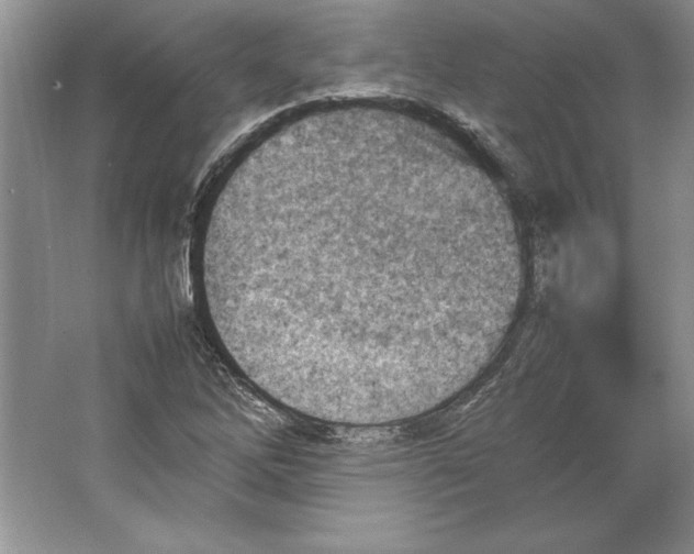 X0000064751262200603031724