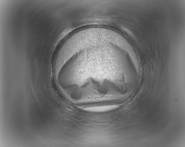 X0000064751267200603031724