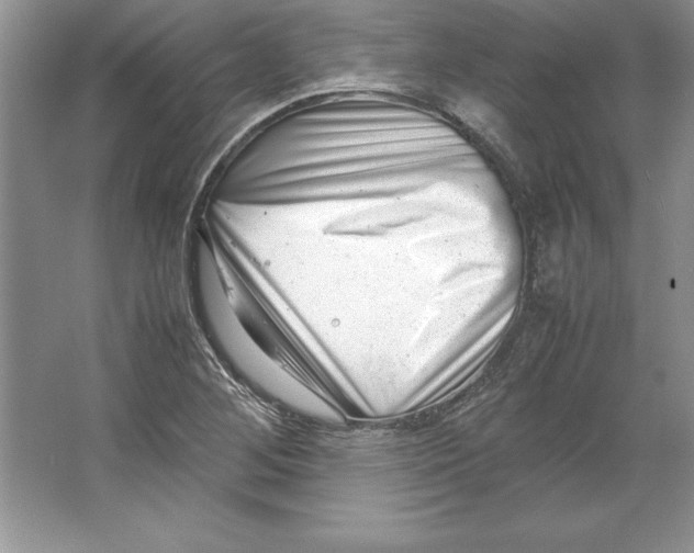 X0000064751268200603031724