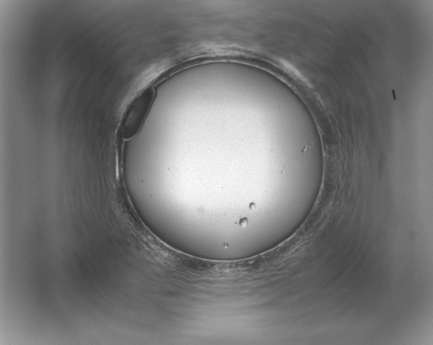 X0000064751269200603031724