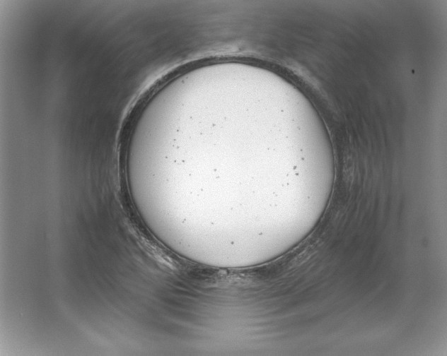 X0000064751270200603031724