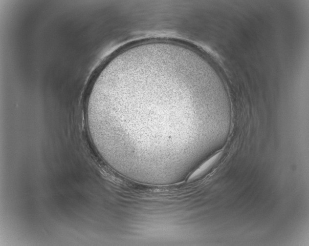 X0000064751271200603031724