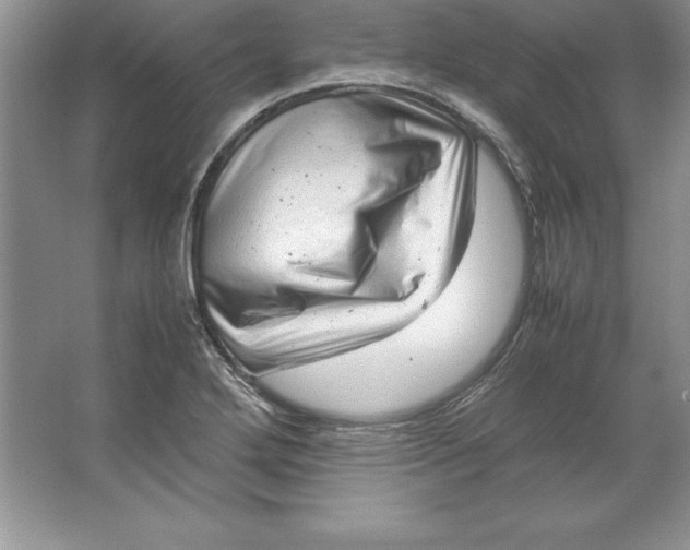 X0000064751272200603031724