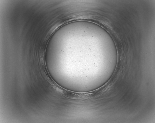 X0000064751273200603031724