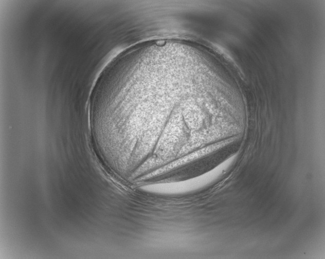 X0000064751275200603031724