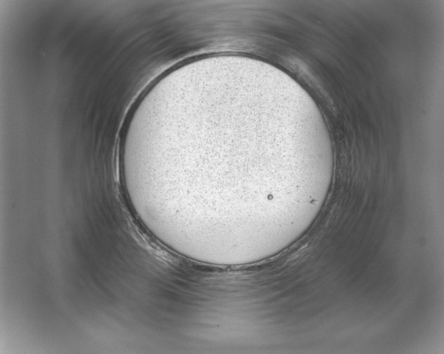 X0000064751276200603031724