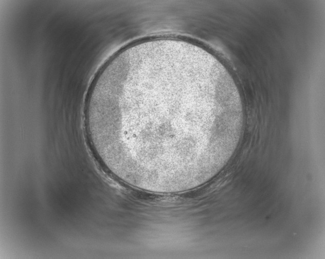 X0000064751279200603031724