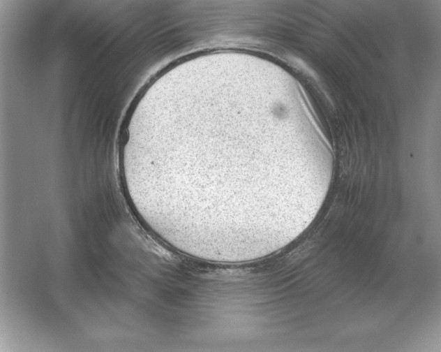 X0000064751280200603031724