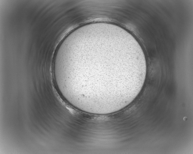 X0000064751282200603031724