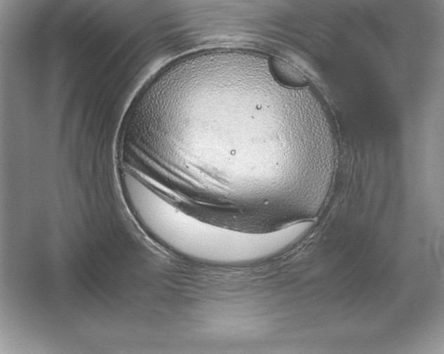 X0000064751283200603031724